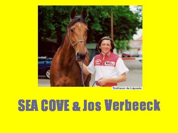 Sea-Cove---Jos-Verbeeck-2-Jos-Verbeeck-Sea-Cove-010807Copyr.jpg