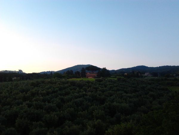 2012-05-31-05.53.10-copia-1.jpg