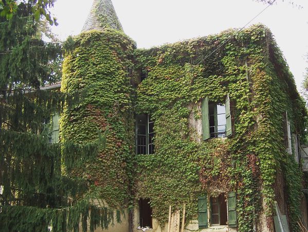 Domaine-deBesmaux-10-2010-021.JPG