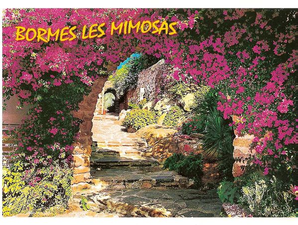 Bormes-les-Mimosas-Lucia.jpg