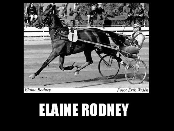 Elaine Rodney [1]