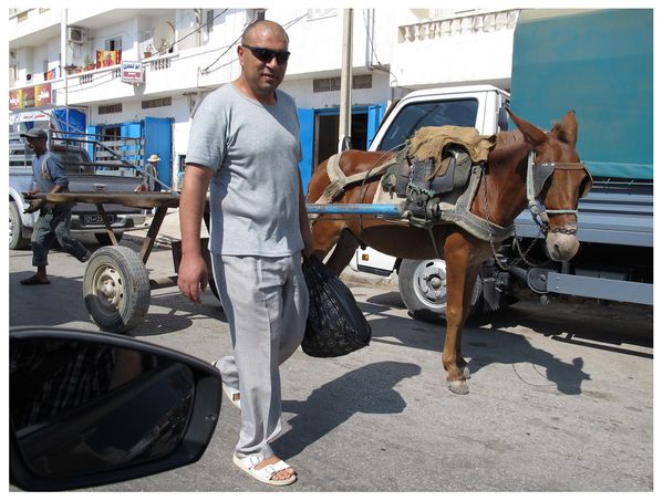 tunis-23-08-2012-040.jpg