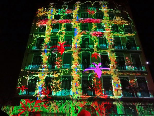 Fresque Lyonnais fleurs