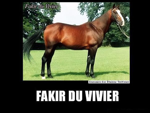 Fakir-du-Vivier--630_1-1-.jpg