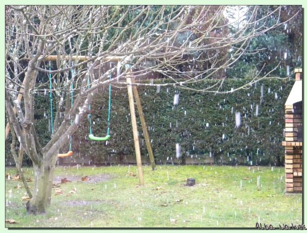 neige