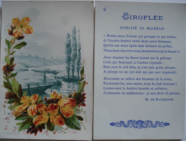 010-copie-3.JPG