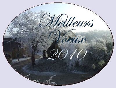 meilleurs-voeux--2010.jpg