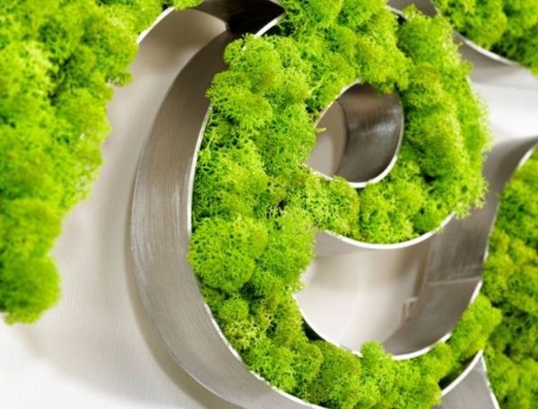 lettre-vegetale.JPG