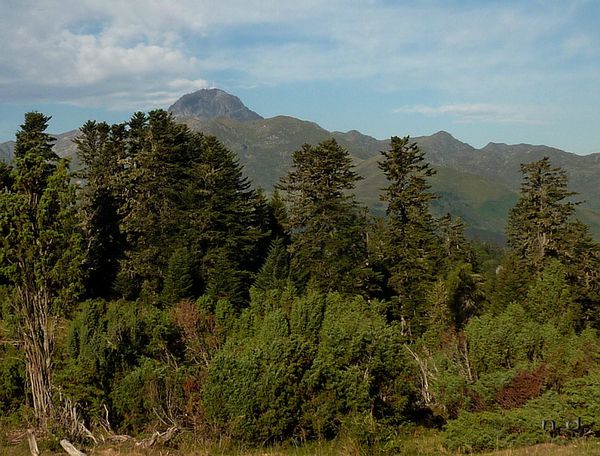 8 depuis les hauteurs de Beyrède