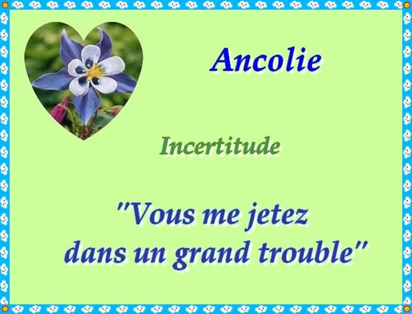 Ancolie