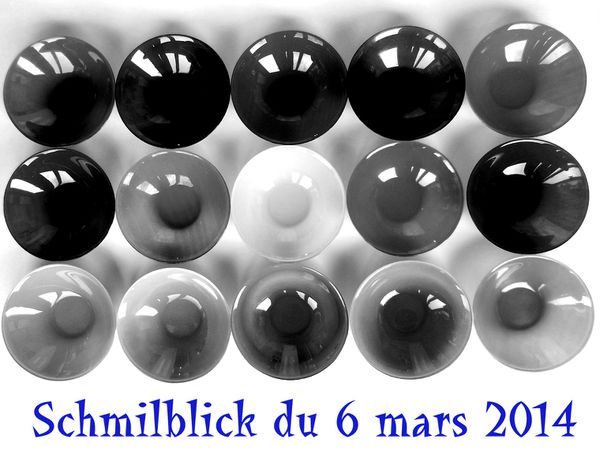 Schmilblick du 6 mars 2014