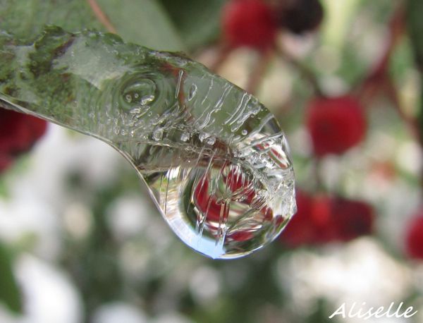 Goutte-glacee---20.jpg