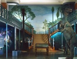 262_200_0_musee_hist_nat_geole_2.jpg
