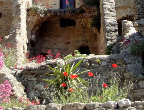 detail.jpg