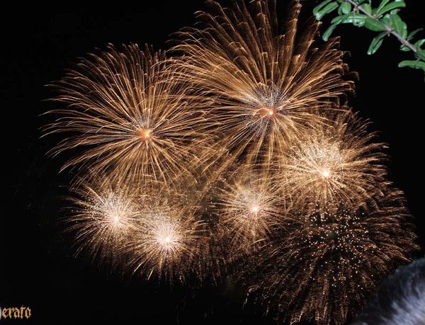 feu-d-artifice-2010-013.jpg