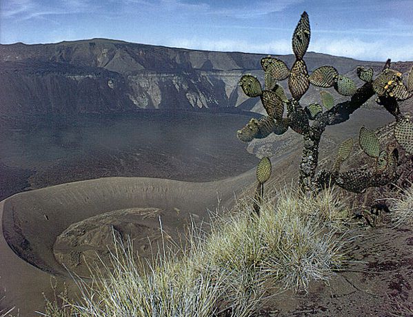 CerroCaldera Gla Geology on web