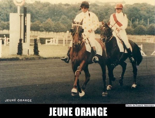 Jeune-Orange.jpg