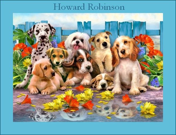 Howard-Robinson.jpg