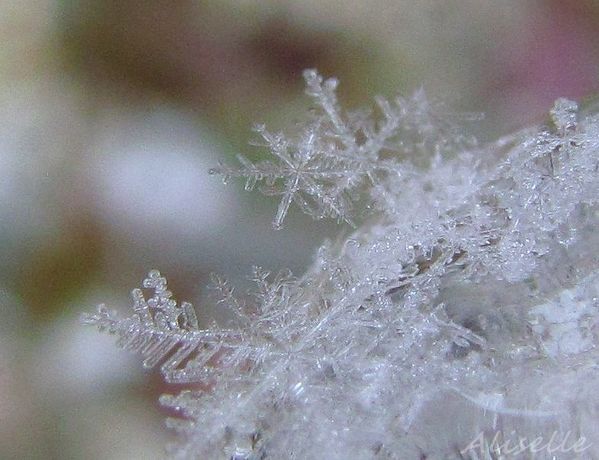 Cristaux-de-neige-3.jpg