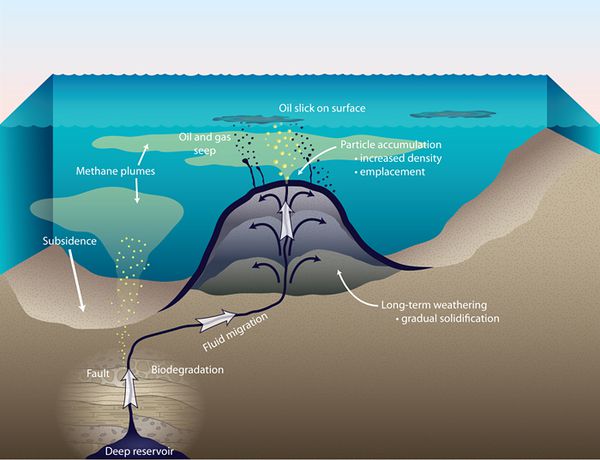 Asphaltvolcano---Woods-hole---Jack-Cook.jpg