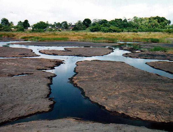 WaterFilledCracksAtSwampEdge---R.Seaman.jpg