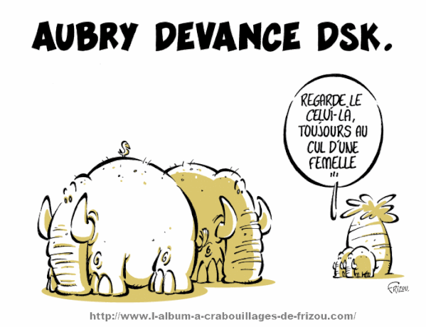 20.01.2011. Aubry vs DSK