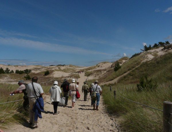 Groupe-chemin-ds-dunes--2-.JPG