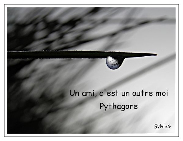 imagetexte02