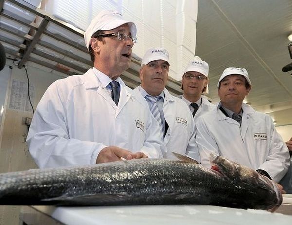 poisson.jpg