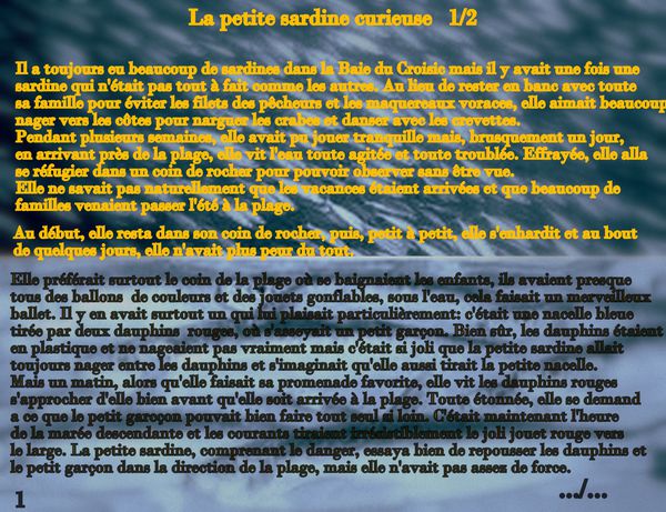 la-peite-sardine-curieuse.jpg