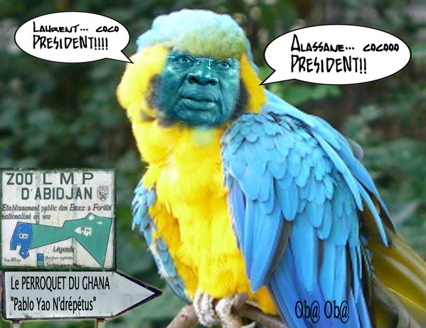 perroquet3.jpg