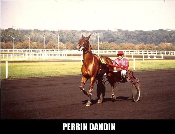 Perrin-Dandin-n0001.jpg