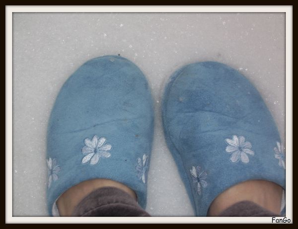 pieds-neige.jpg