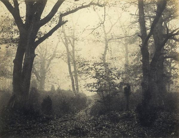 foret