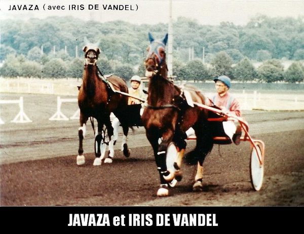 Javaza-et-Iris-de-Vandel-n0001.jpg