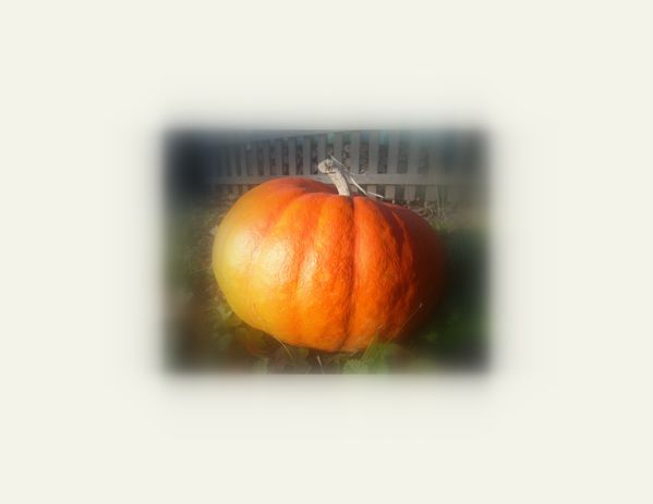 2010-10-121