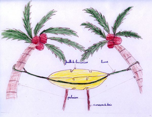 image palmiers