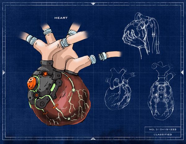 heart.jpg