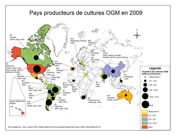 pays-producteurs-ogm.jpg