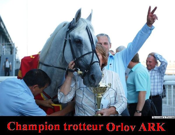 Orlov.-Champion-trotteur-Orlov-Ark.jpg