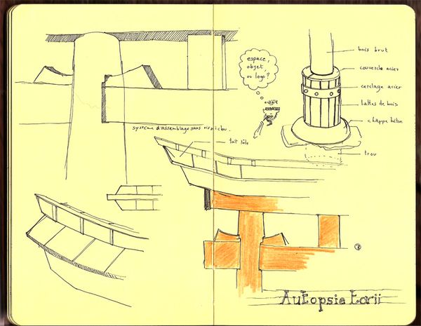 torii-torii.jpg