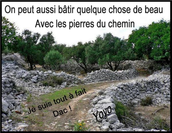 normal_croatie-chemin-oliveraie-ile-de-krk-1.jpg