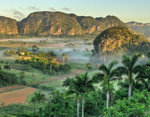Vinales 5