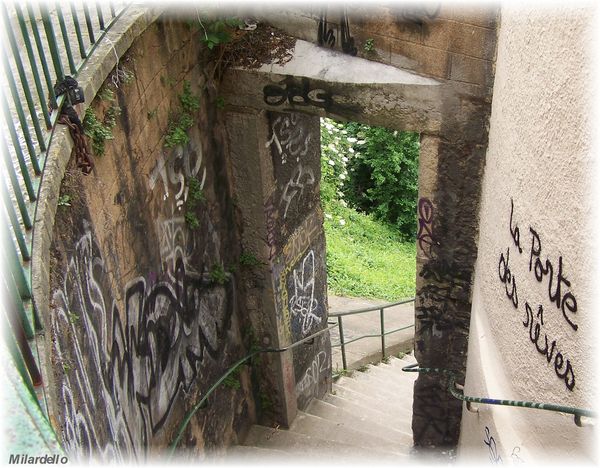 230-j-rm-pb-croix-rousse-escalier-sous-la-rue-des-fantasque.jpg