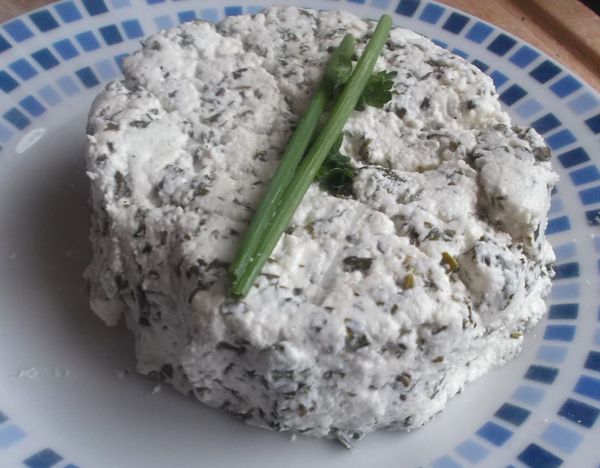 Boursin maison ail et fines herbes : recette facile et résultat garanti  yaourtière Seb multidelice 