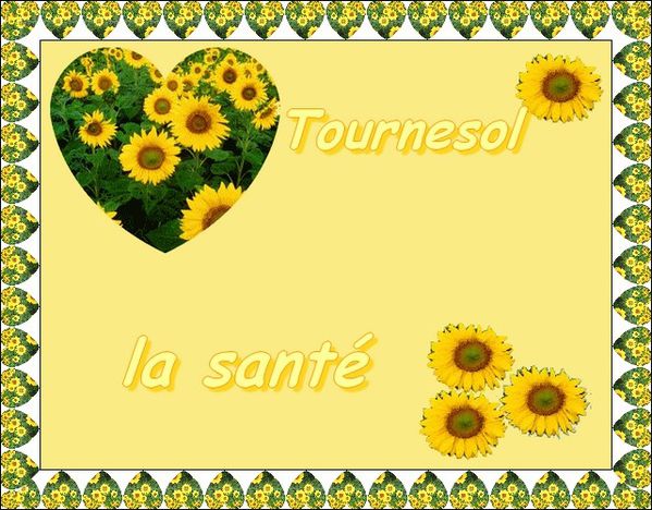 Tournesol.jpg