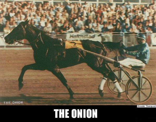 The-Onion-numerisation0025.jpg