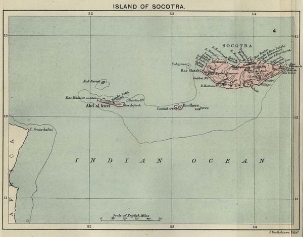 socotra 1886