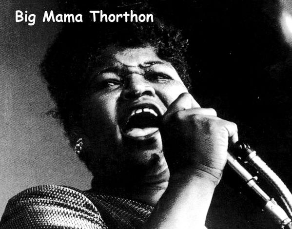 Big Mama Thornton - With the Muddy Waters Blues Band 1966 (