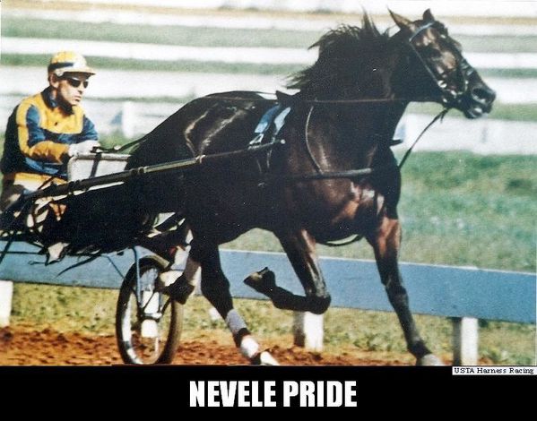 Nevele-Pride-numerisation0018.jpg